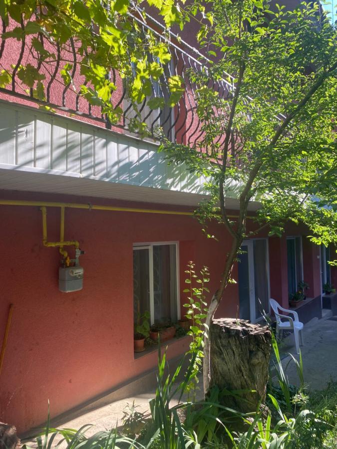 Ardelean Apartment Oradea Exterior photo